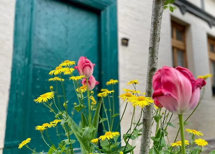 Am Quedlinburger Stadtbad *